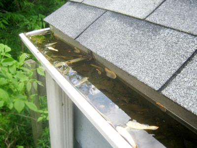 remove leaves clogged in gutters