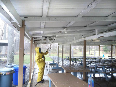 man painting ceiling of picnic shelter gazebo